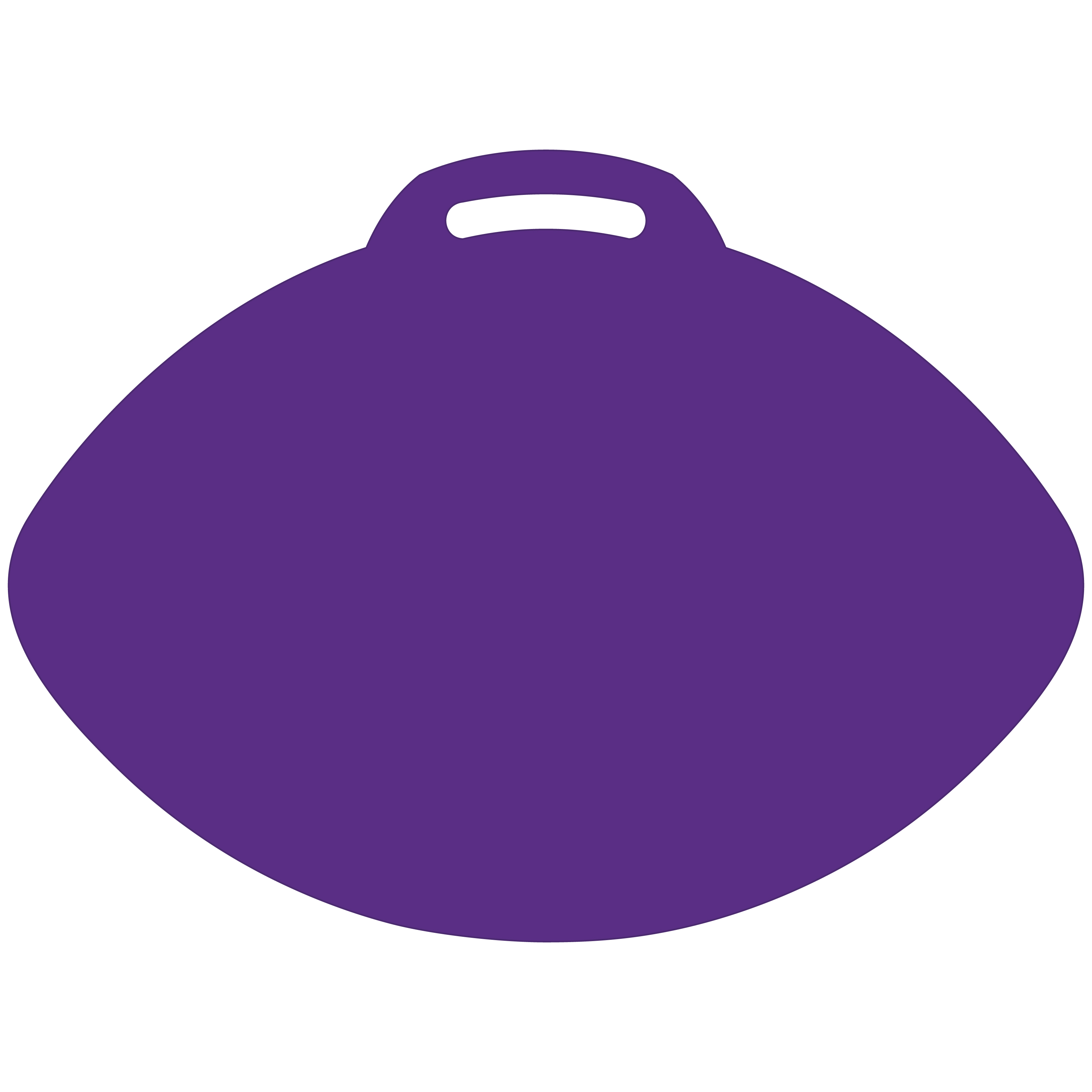 Football-Shaped Vinyl Stadium Cushion (18") 40