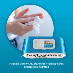 Antibacterial Sanitizer Wet Wipes