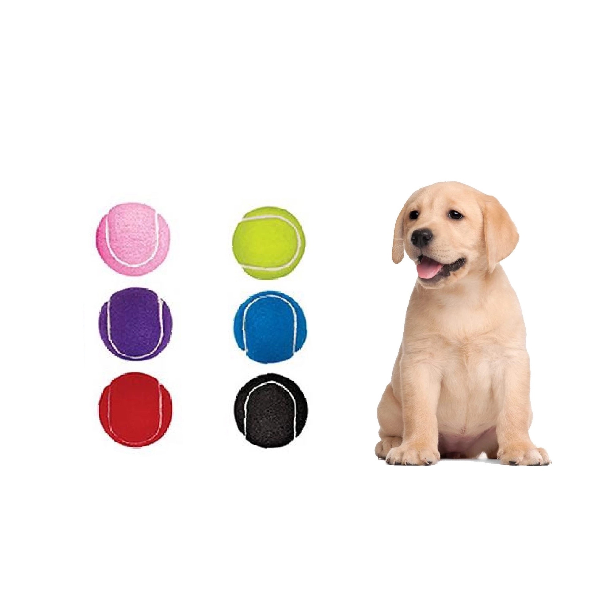 Colorful Pet Tennis Ball MOQ 50PCS 7