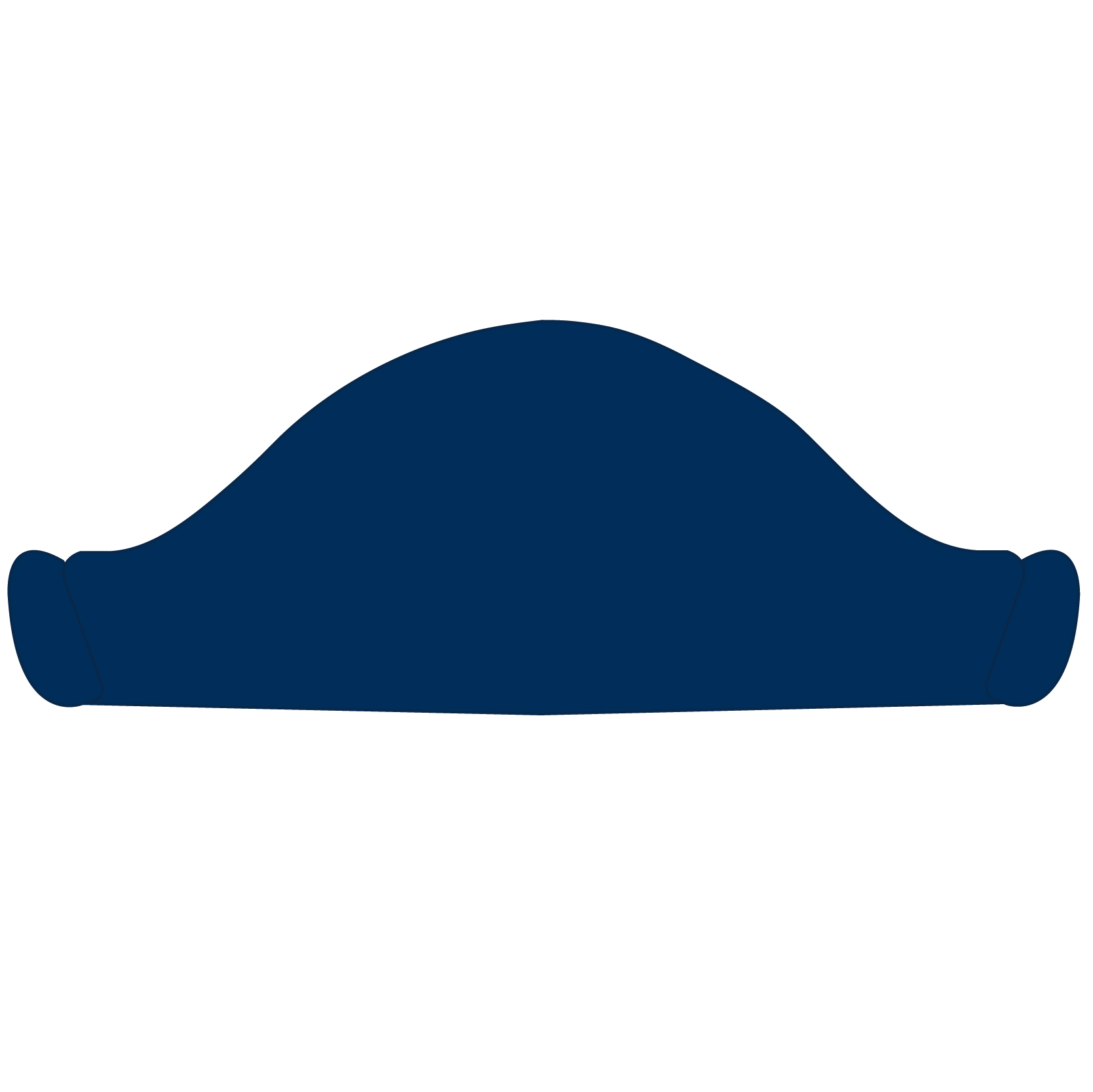 Pirate Hat 51