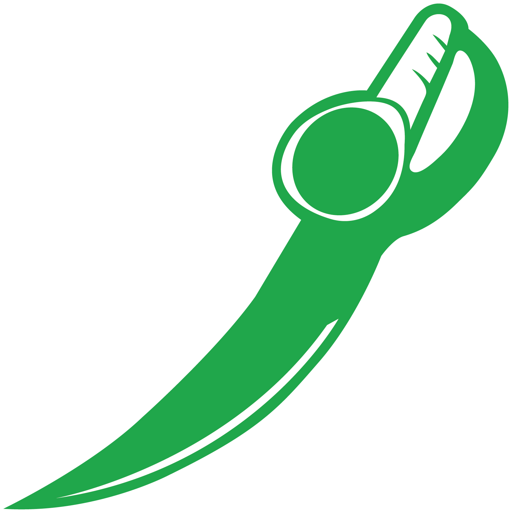 Pirate Sword 77