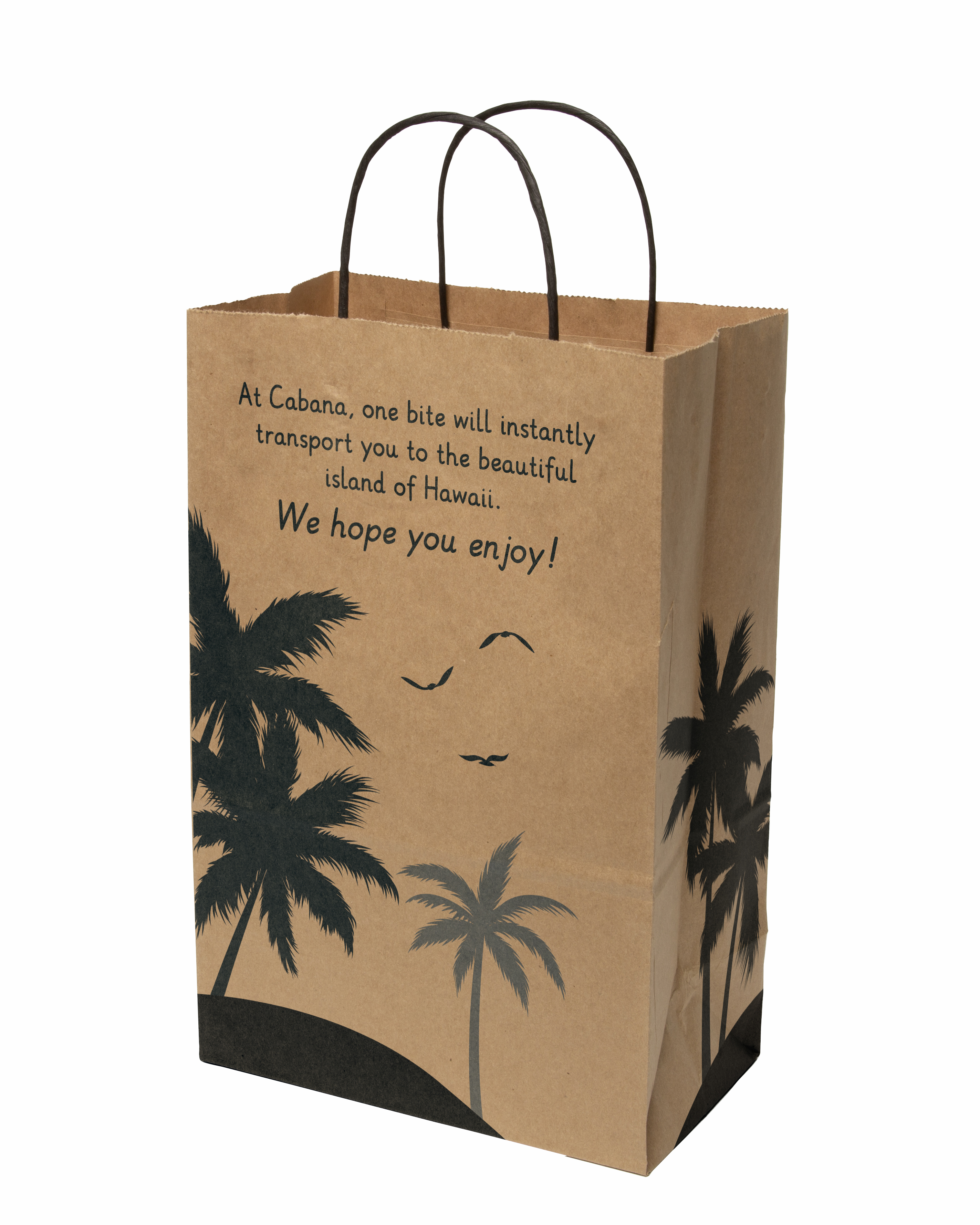 Multi-sided Full Color Natural Shopper Paper Bag - Black Handle (8.5" x 13.375" x 5") 3