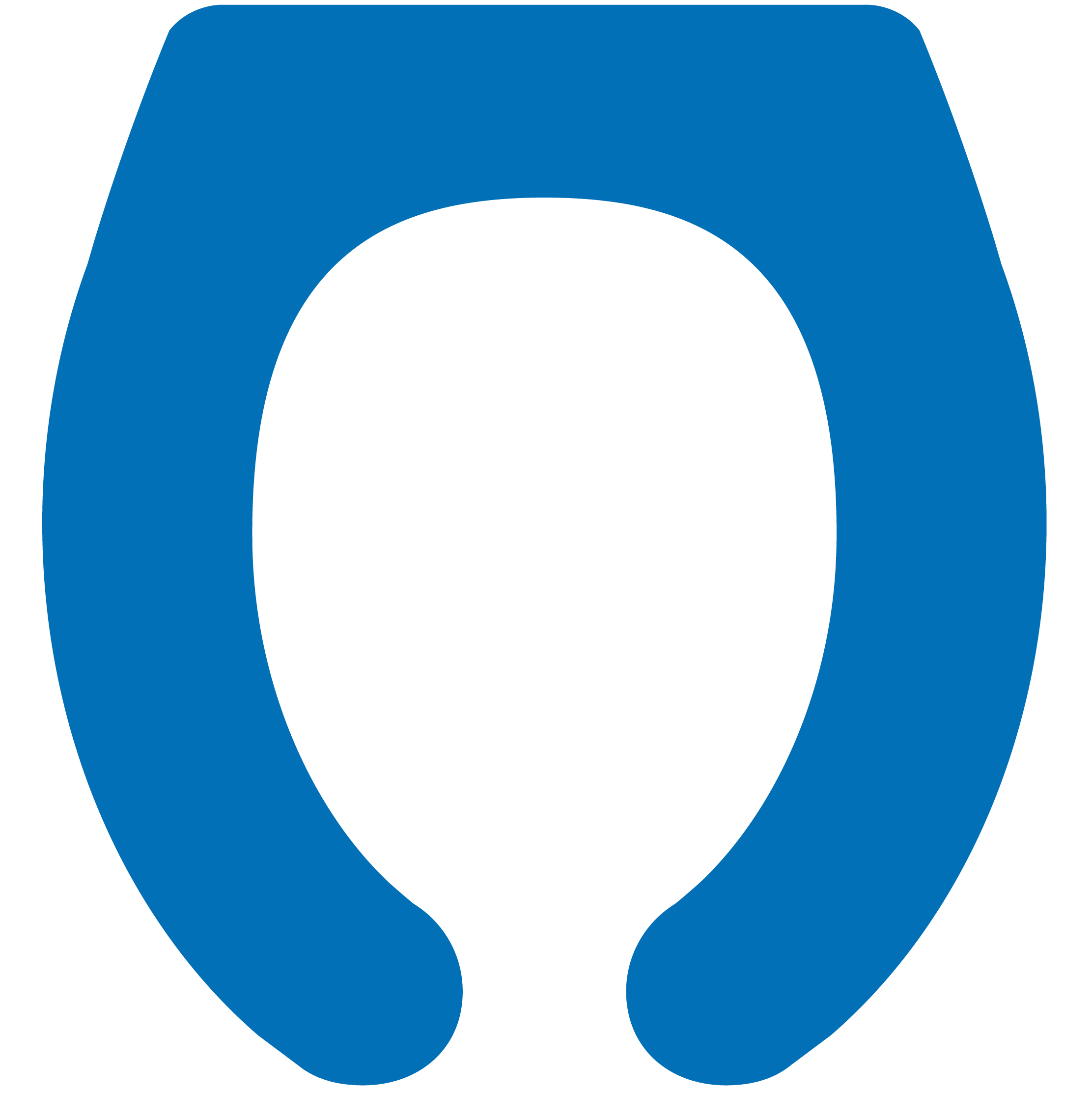 Toilet Seat 80