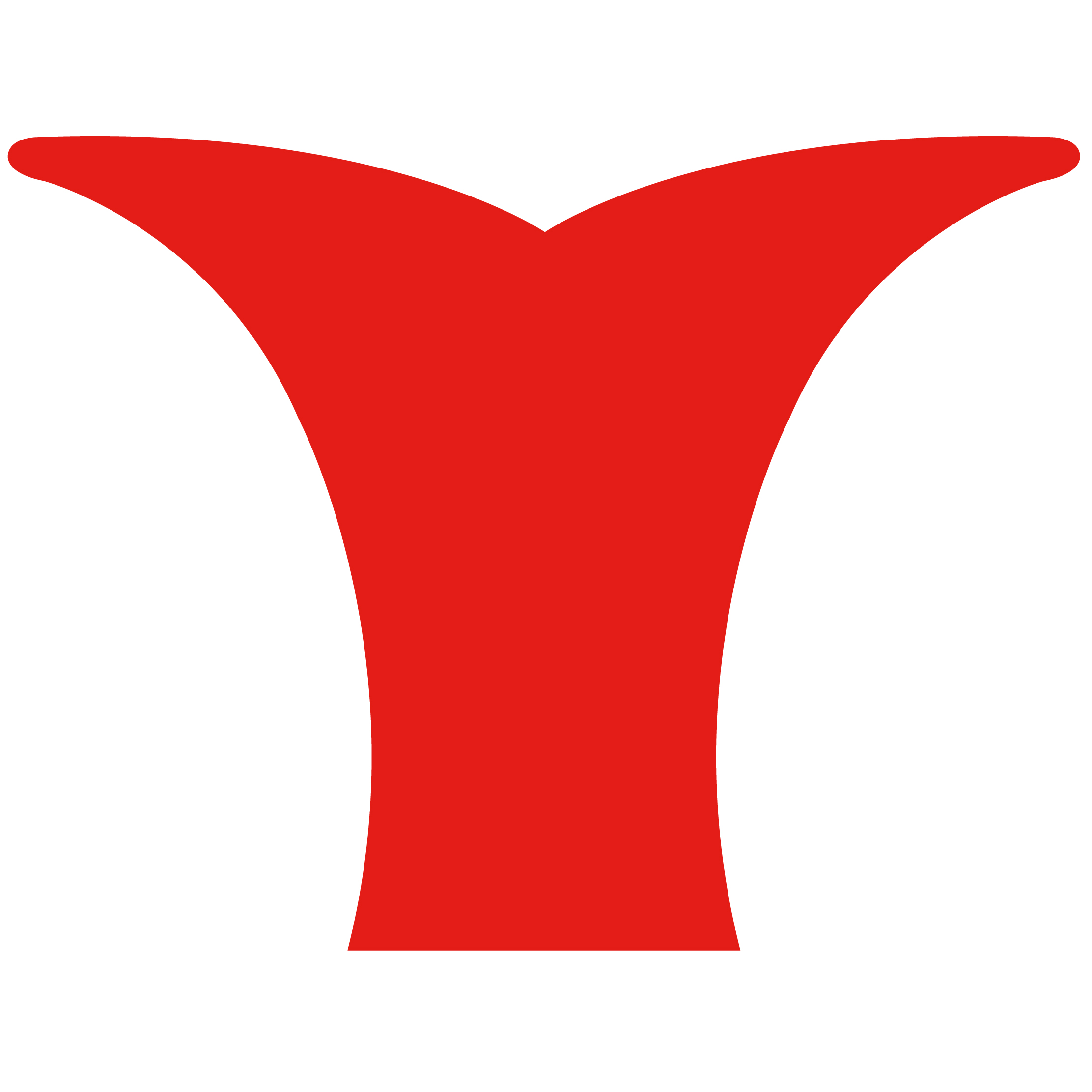 Whale Tail 51