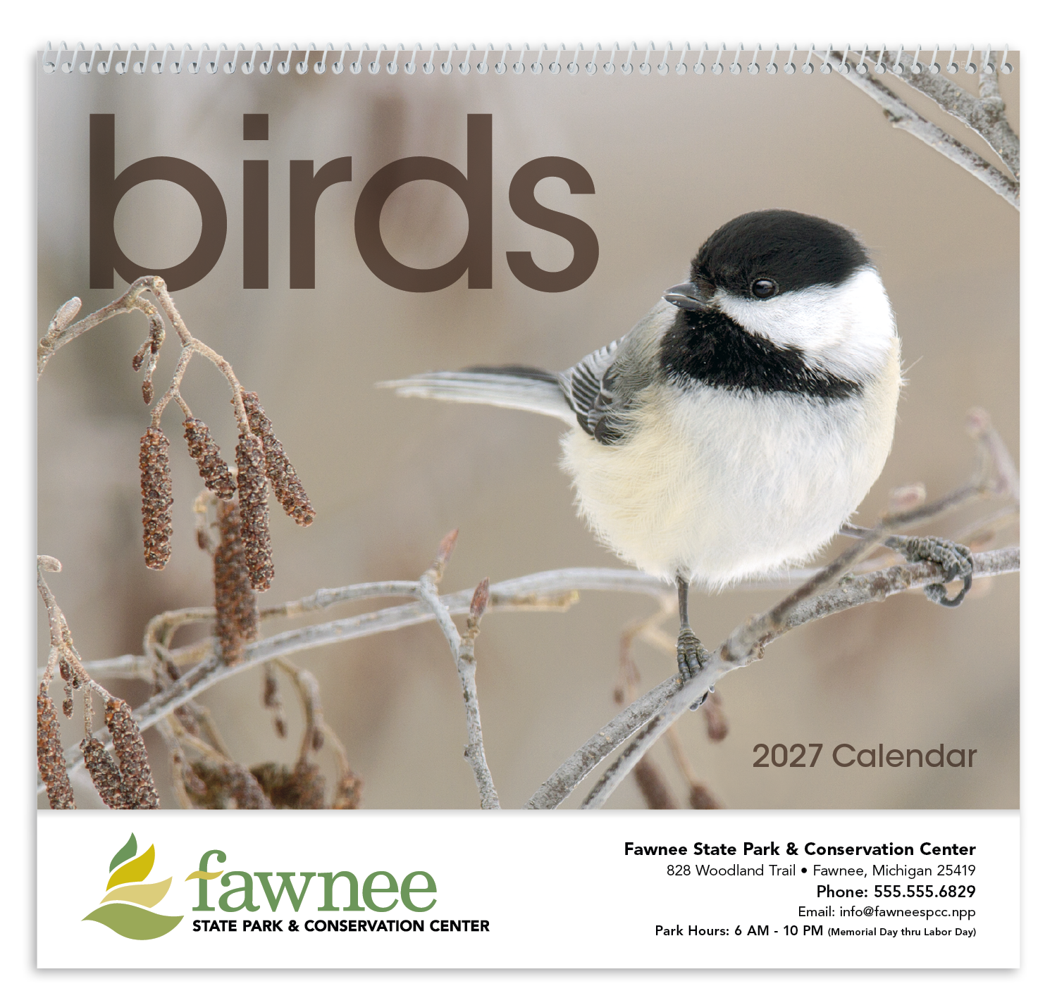 Triumph Calendars Birds Calendar