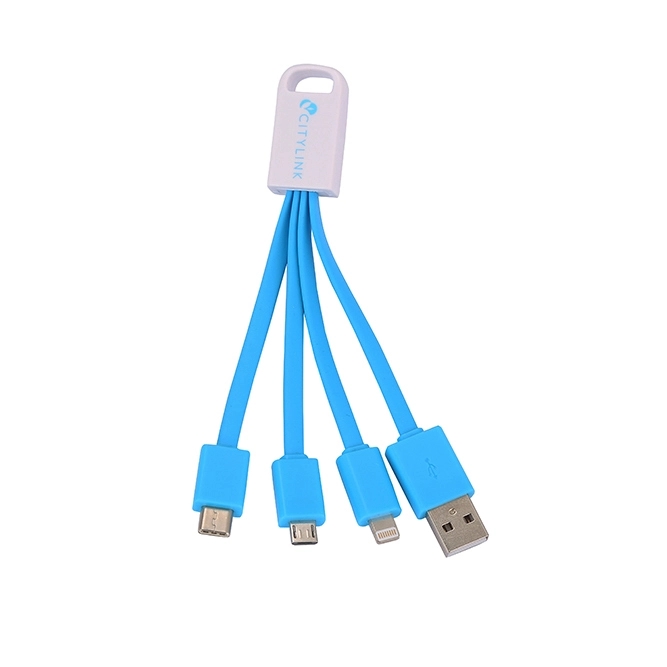 4 In 1 Charging Cable