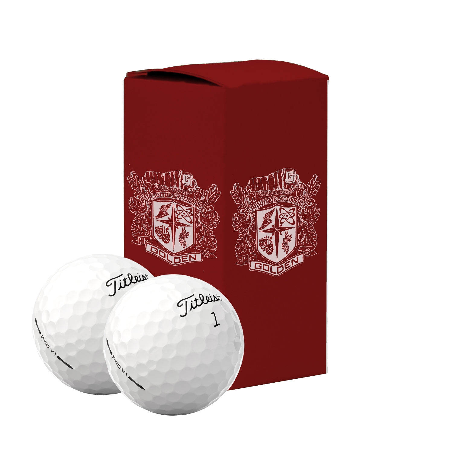 Titleist Pro V1 Golf Ball in Custom Two Ball Sleeve 5