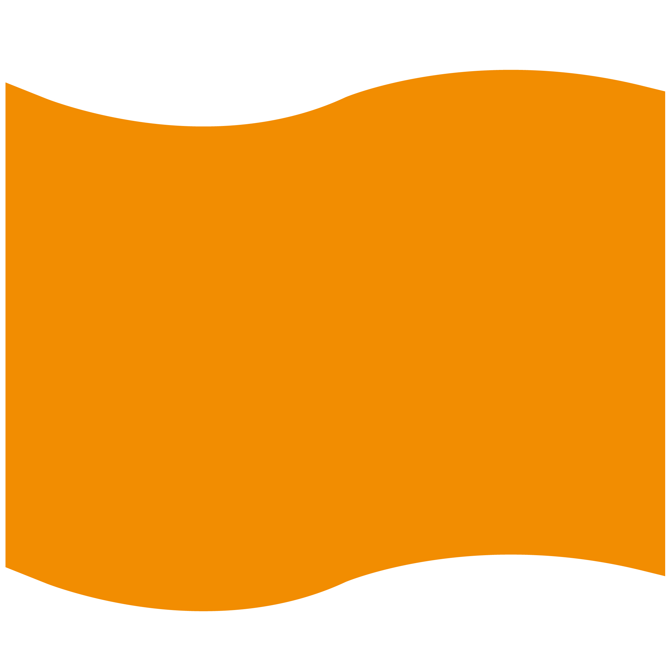 Foam Flag Mitt 46