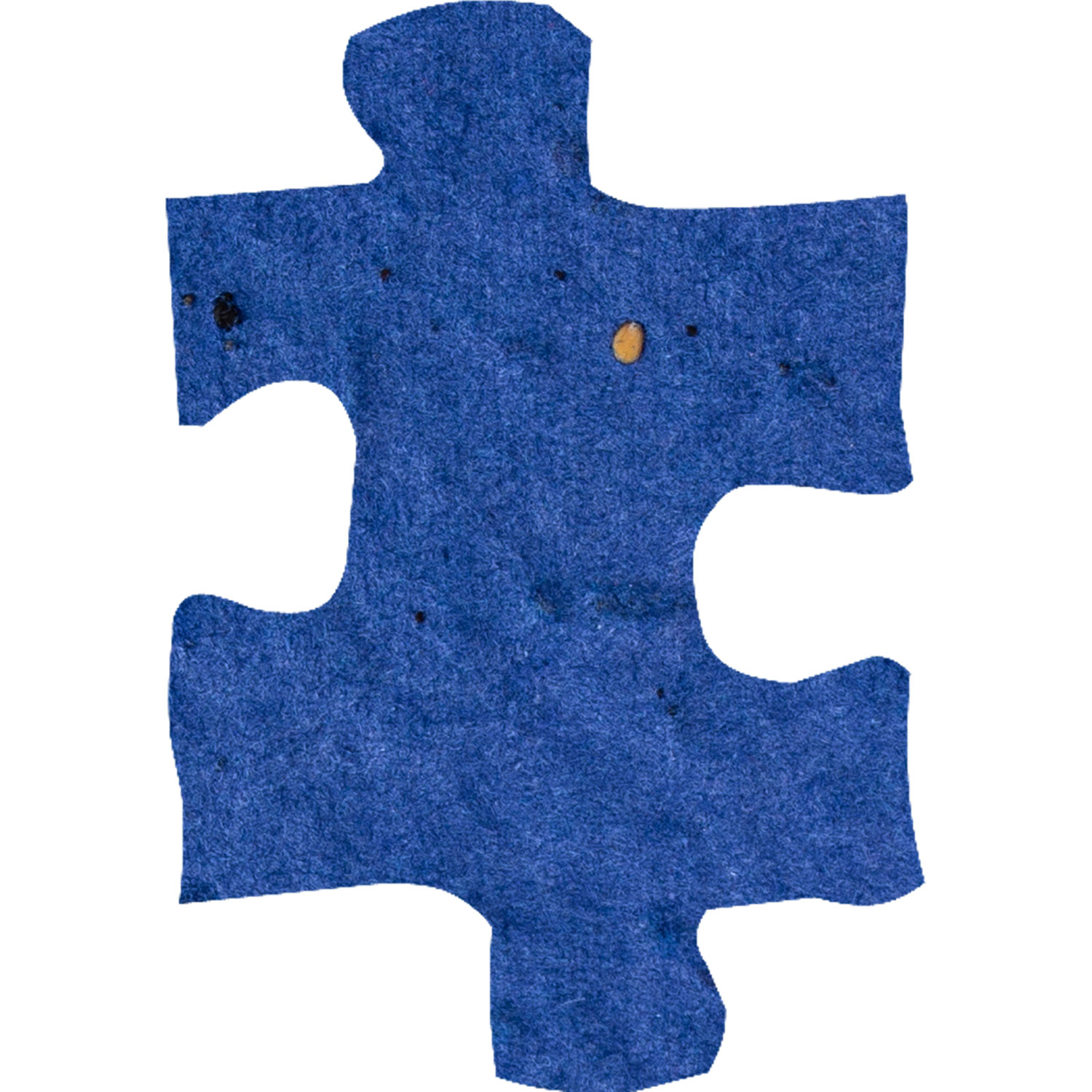 Plant-A-Shape Confetti Packet 55