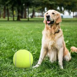 Large Tennis Ball Doggie Puzzle Toys