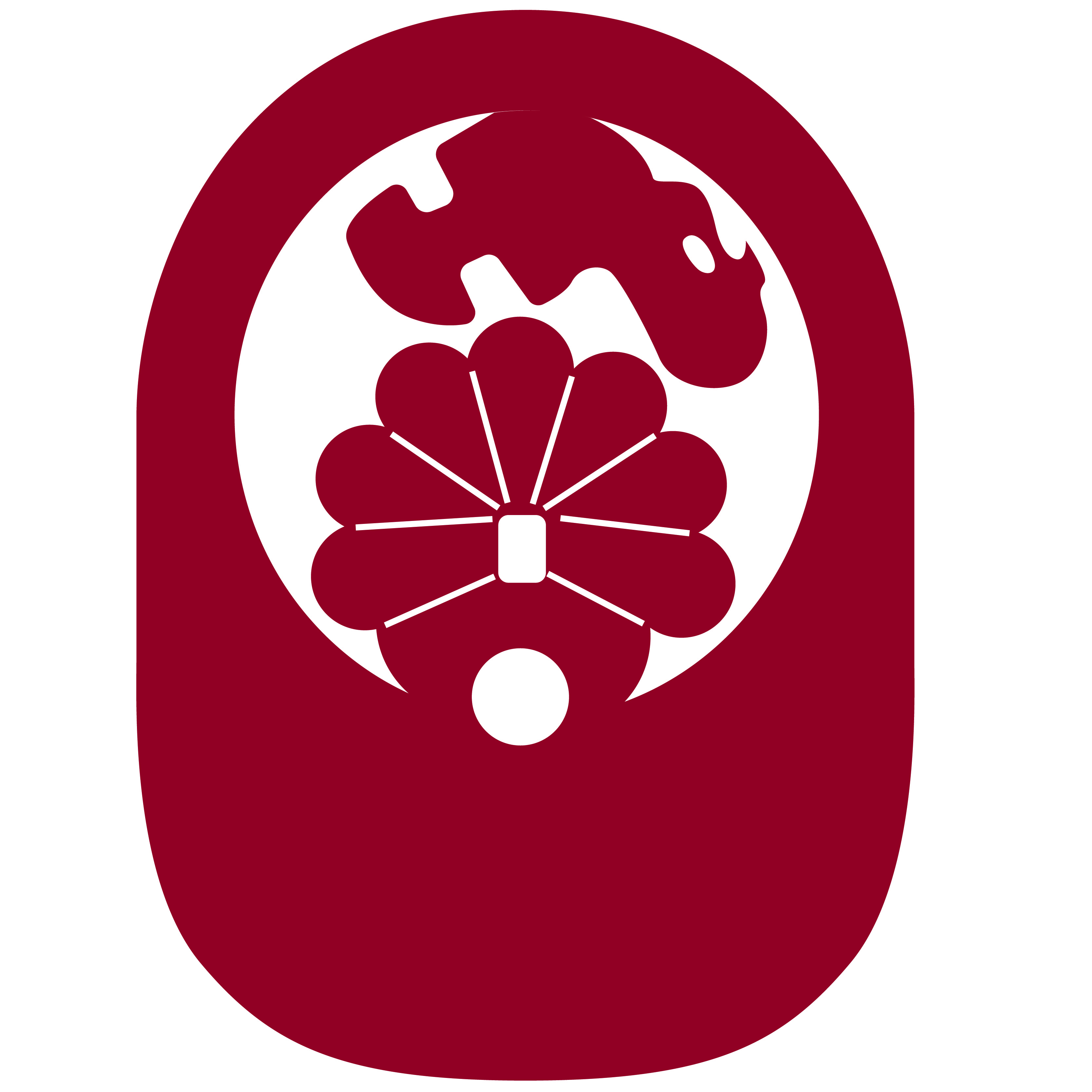 Turkey PopUp Visor 71