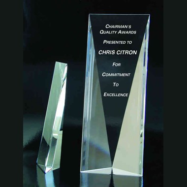 Crystal Panel Award