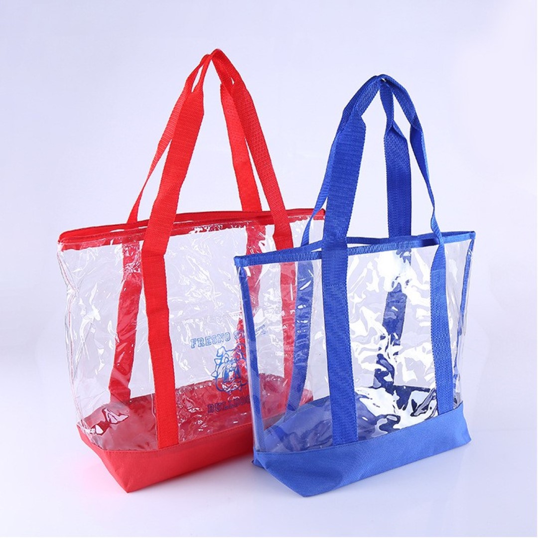 Transparent Handbag 1
