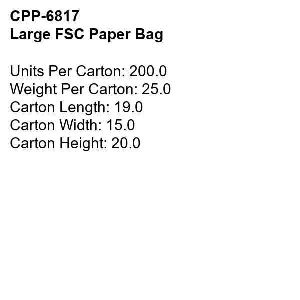 LARGE FSC PAPER BAG 2