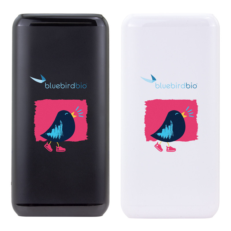10,000 mAh Power Bank