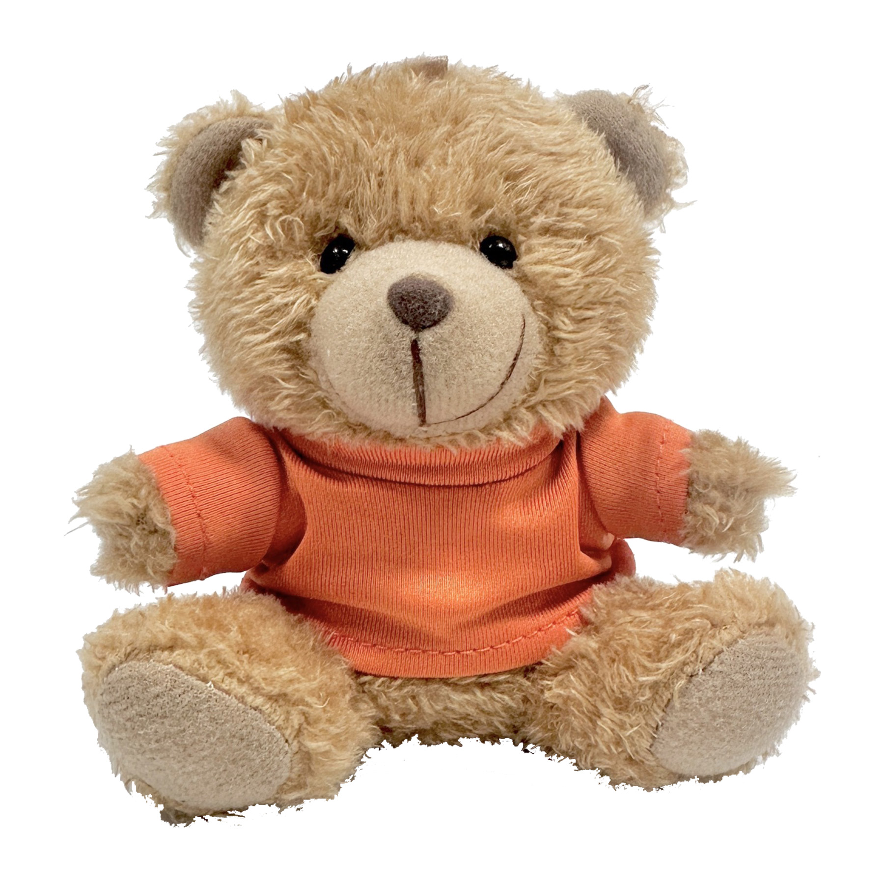 Fluffy Teddy Bear Plush Doll with Keychain Charm 7