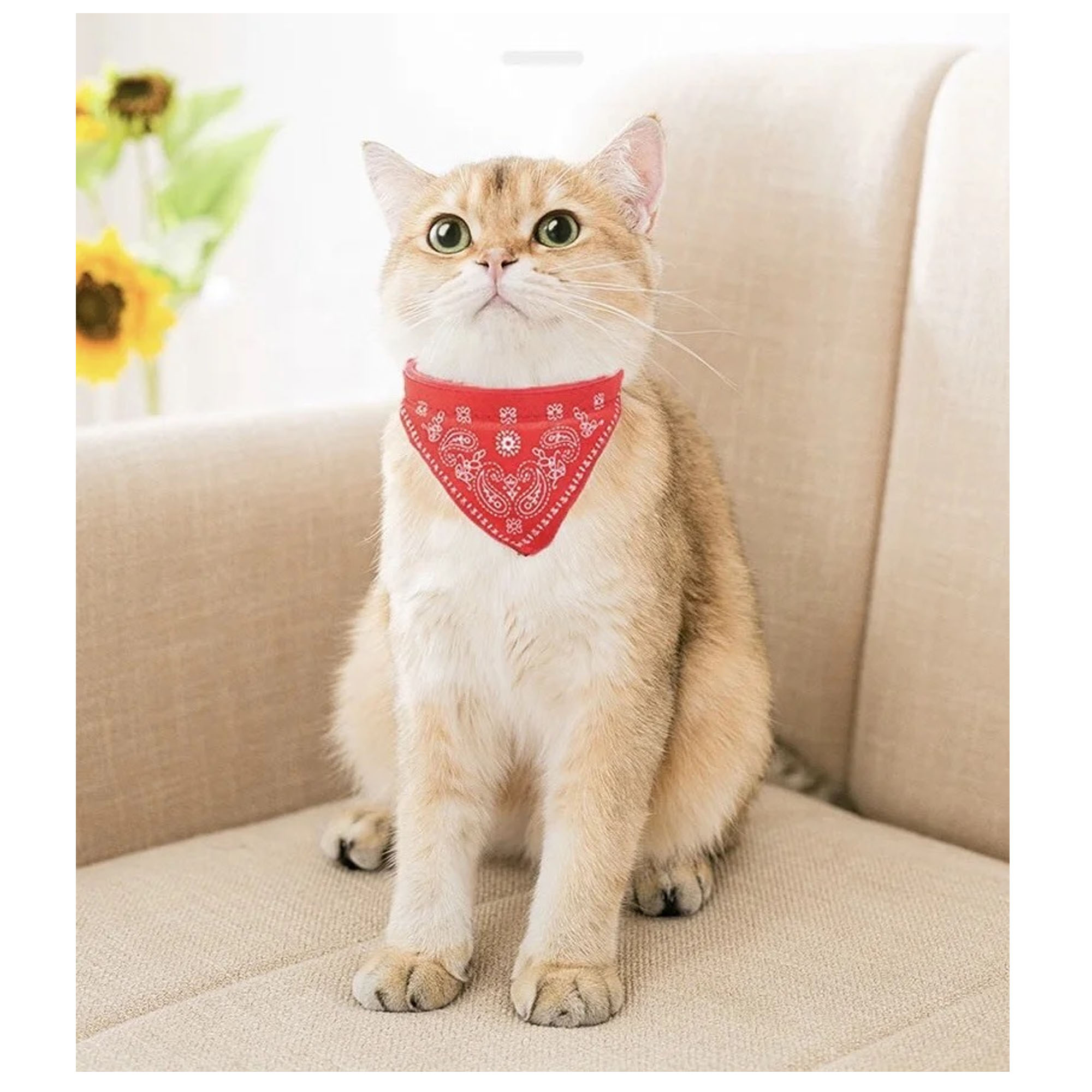 Pu Leather Comfort Meets Fashion With This Pet Bandana Collar 7