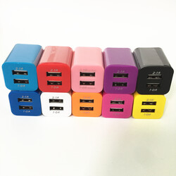 Dual USB Charger