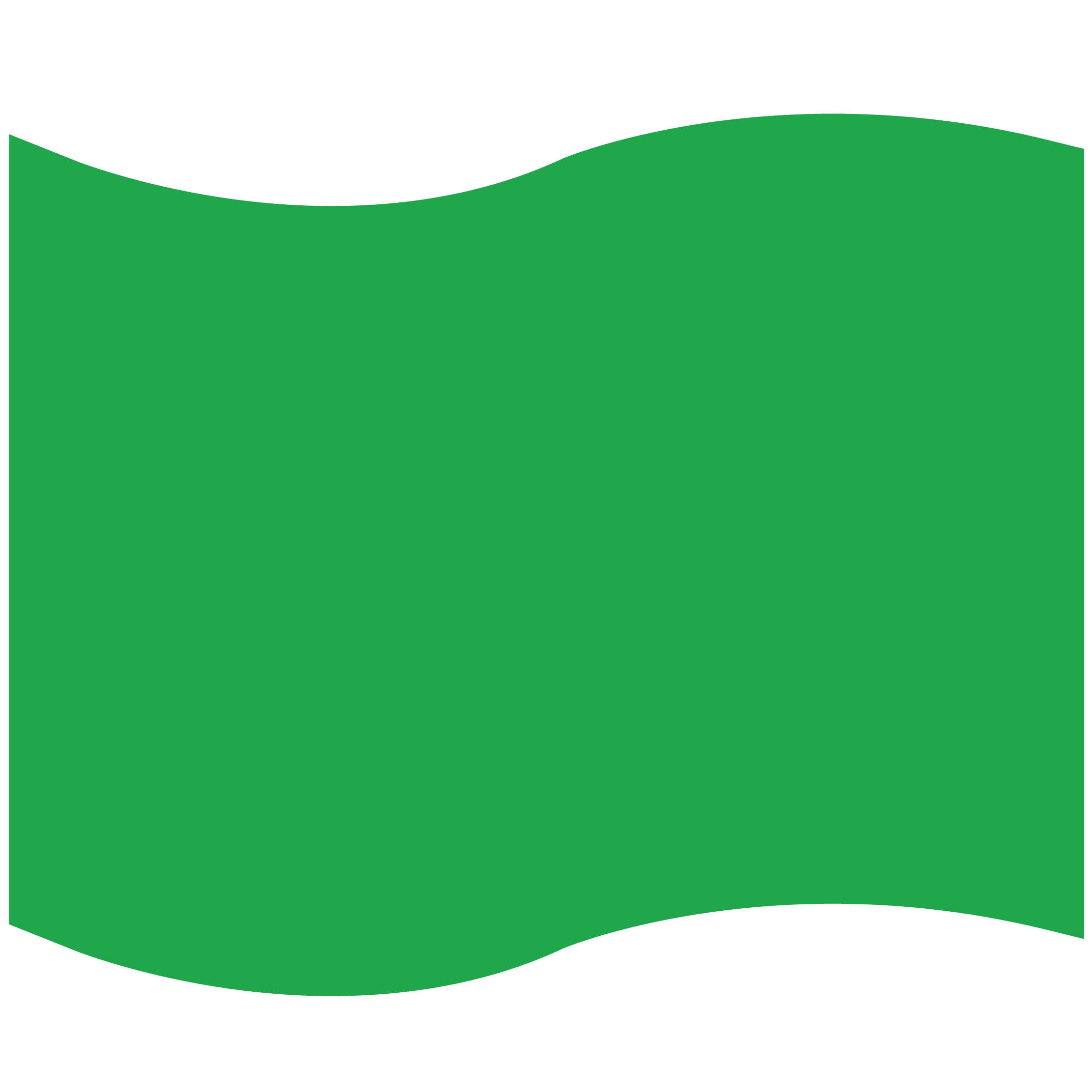 Foam Flag Mitt 51