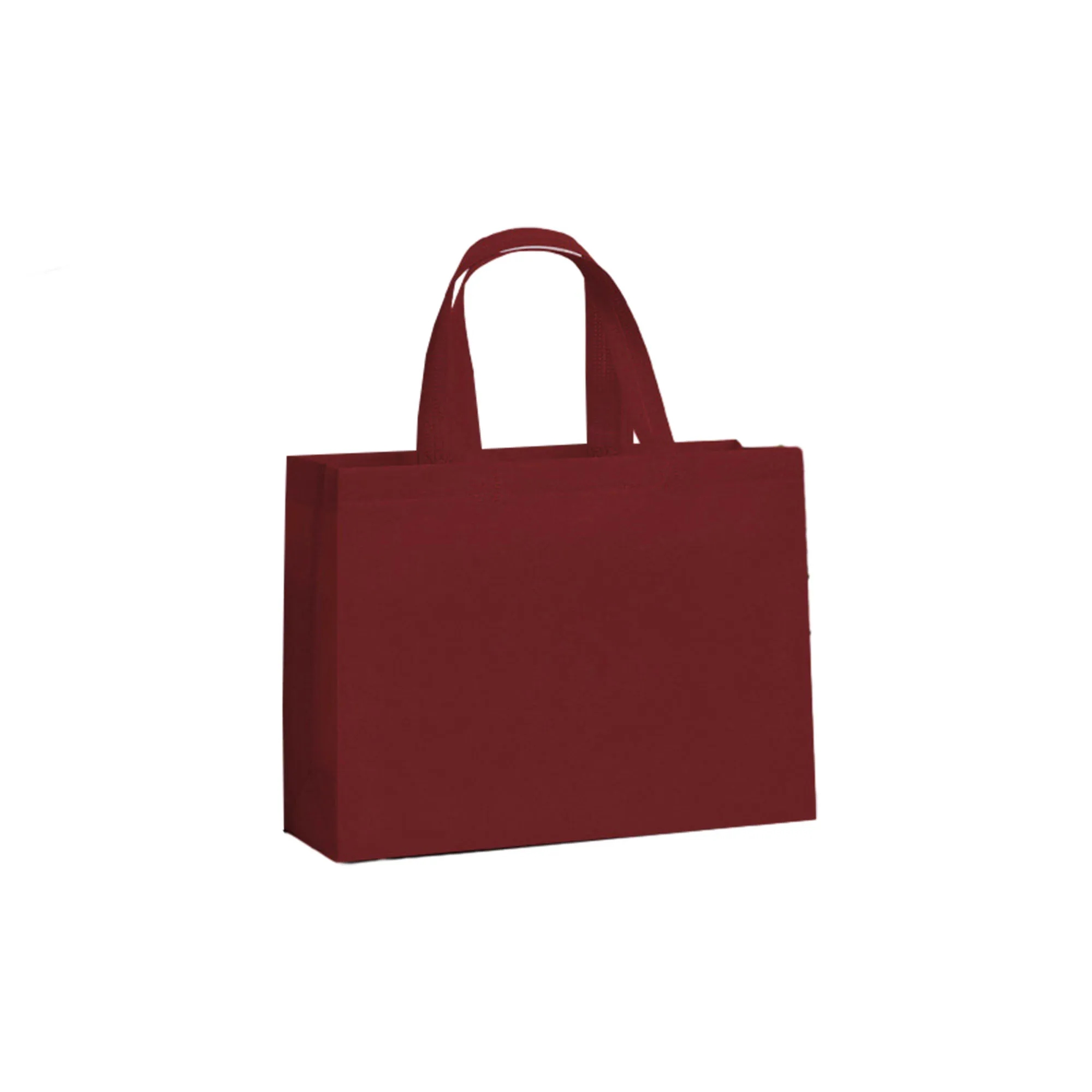 Reusable Nonwoven Gift Bags 29