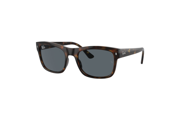 Ray-Ban RB4428 Sunglasses