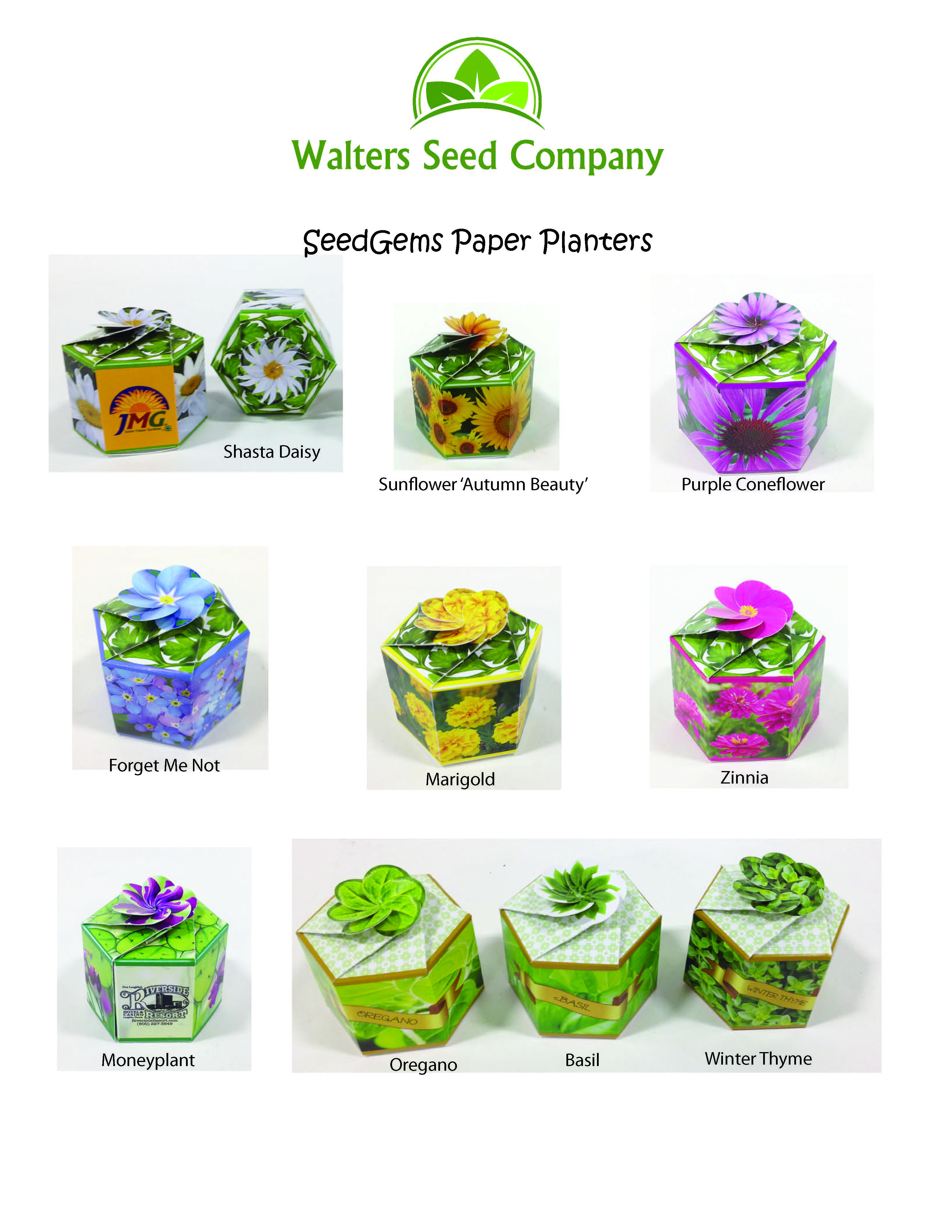 Johnny Jump Up SeedGems Paper Planter - Biodegradable grow kit 10