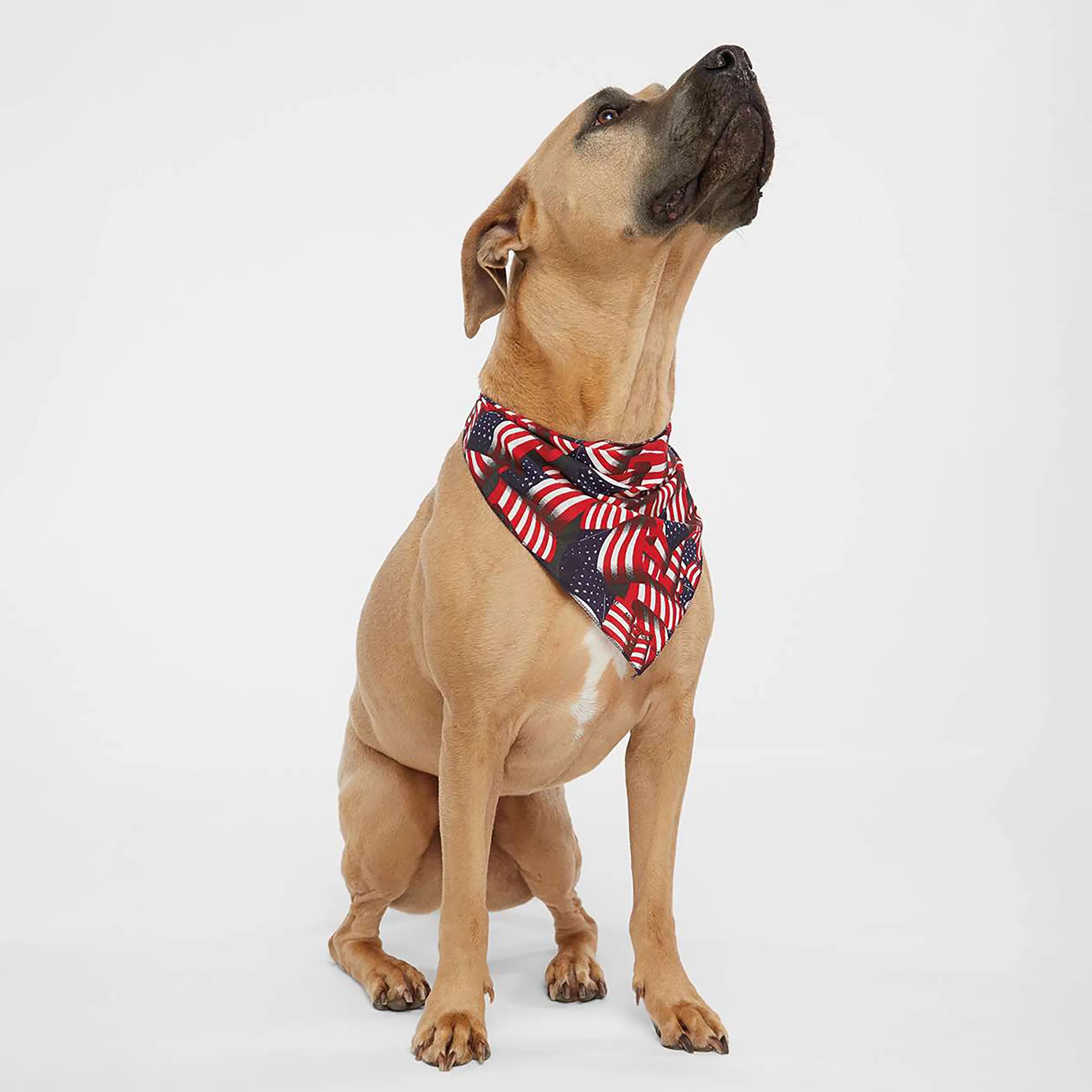 Doggie Skins(R) USA-Made Bandana 9