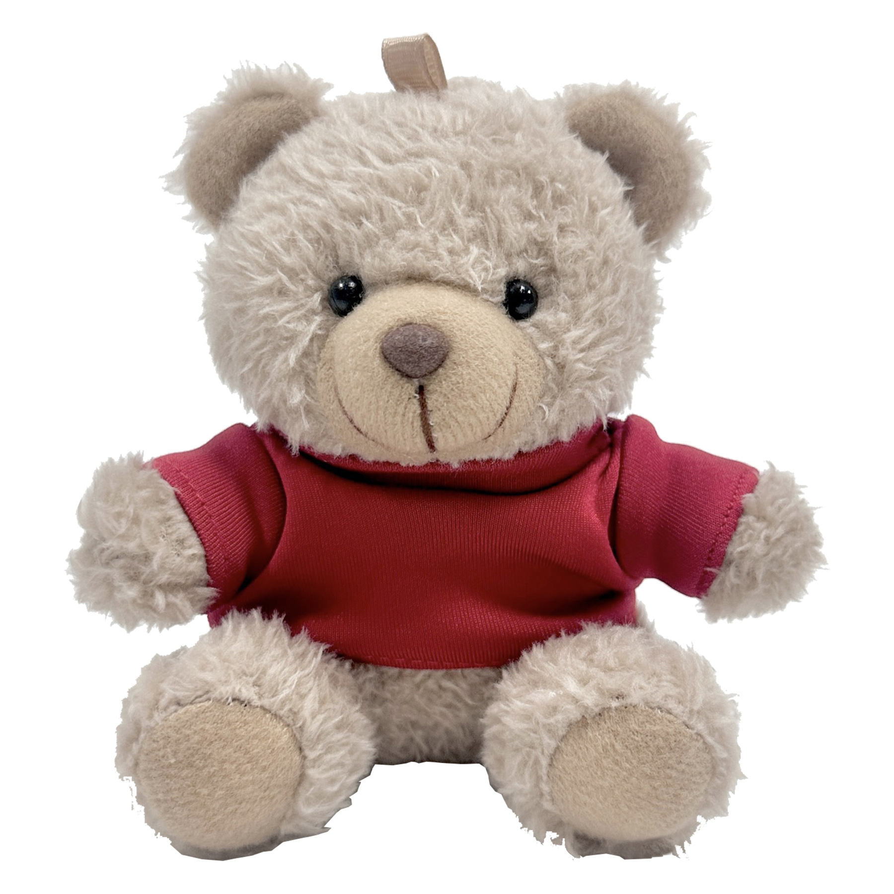 Fluffy Teddy Bear Plush Doll with Keychain Charm 2
