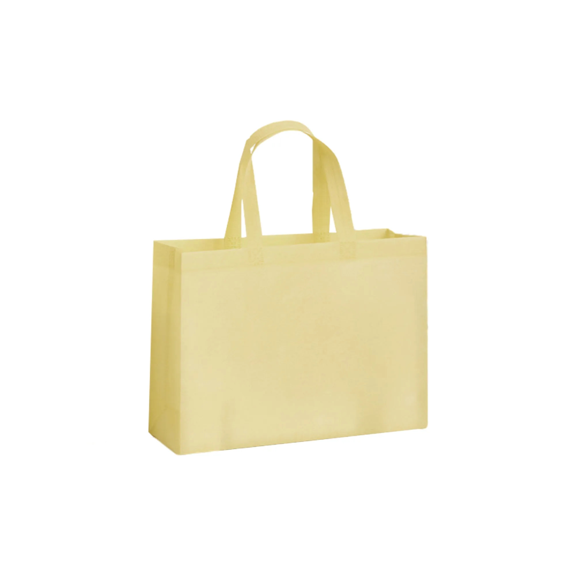 Reusable Nonwoven Gift Bags 38