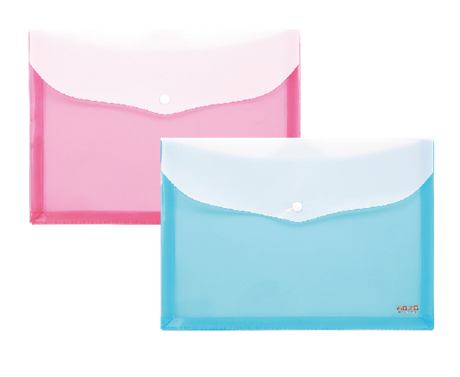 Document Bag