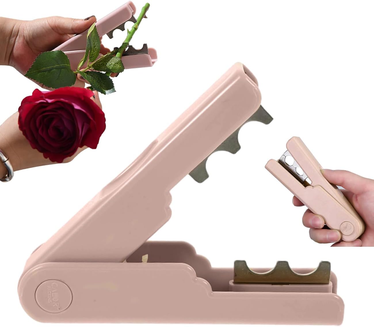 Rose Thorn Stripper Tool 7