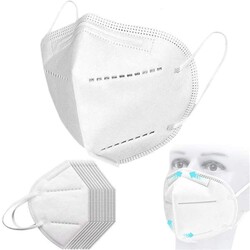KN 95 Protective Face Mask