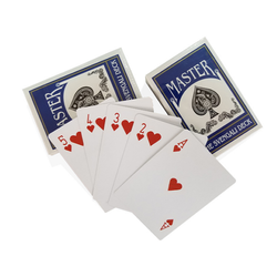 Standard Playing Card In Case