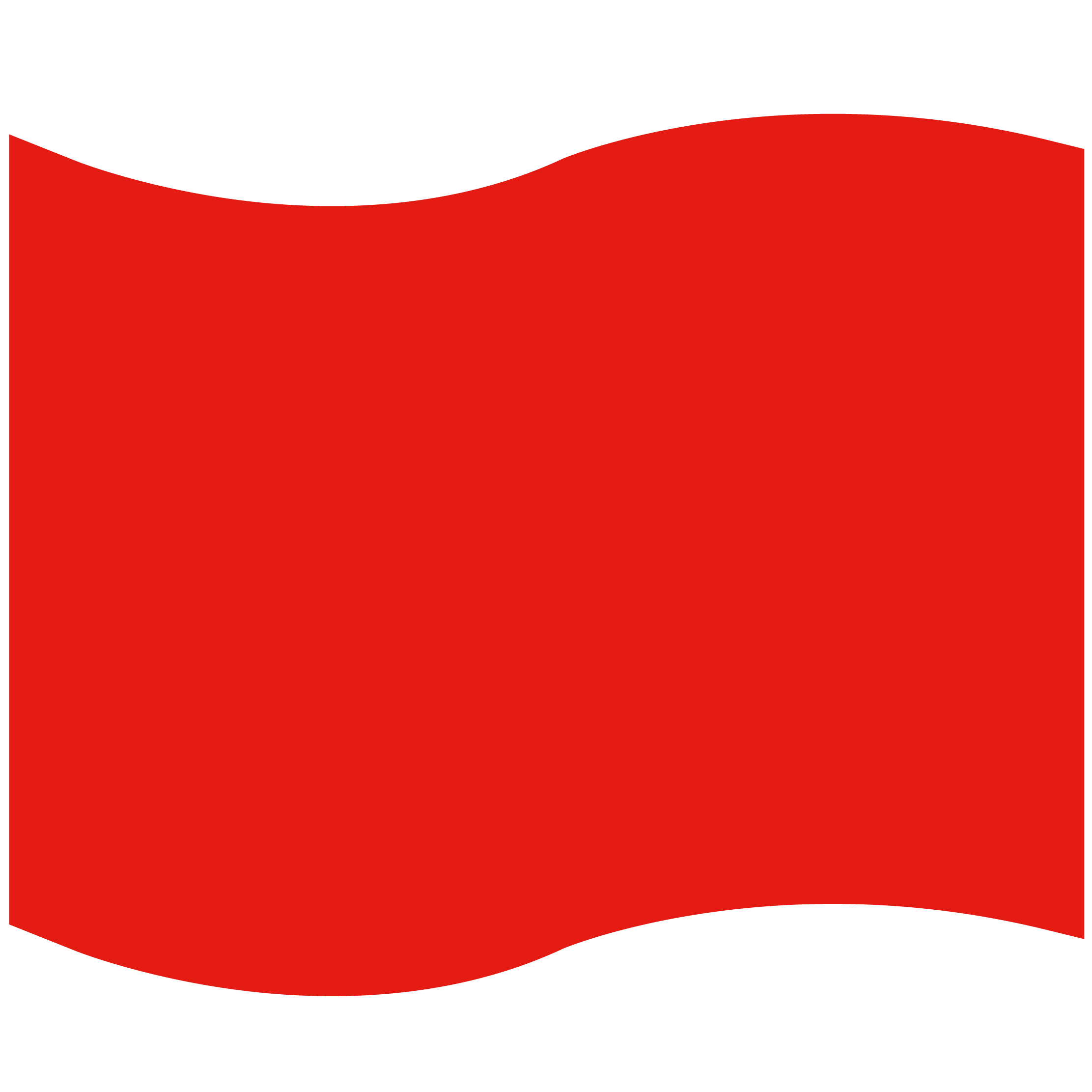 Foam Flag Mitt 42