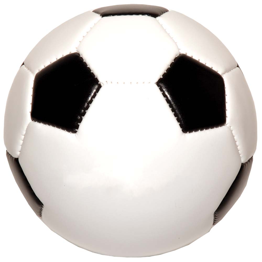 6" Mini Soccer Ball SMAS Ball Pro
