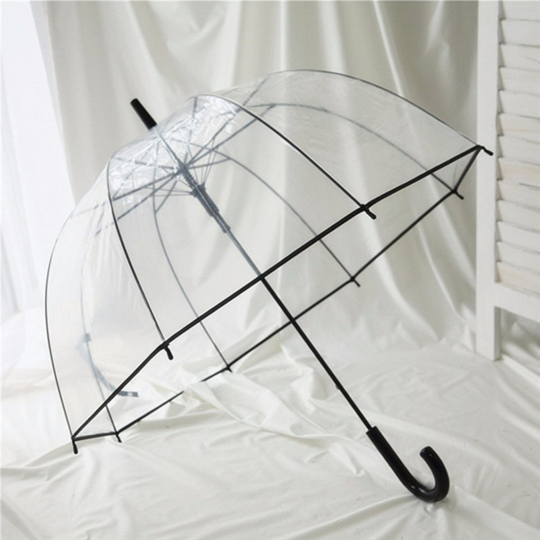 The TranWTarent Umbrella