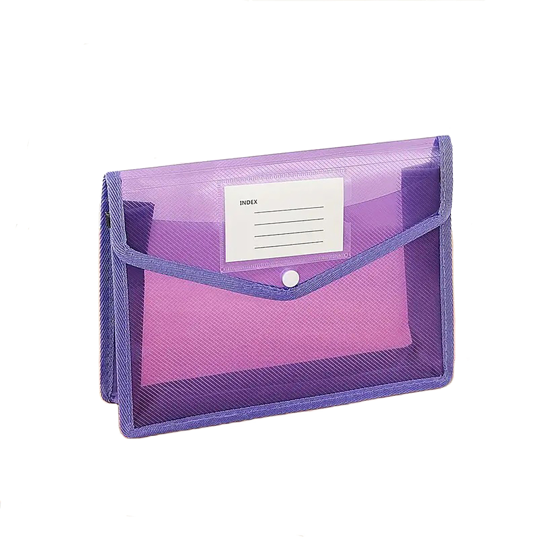 Plastic Expanding Document Folder 29