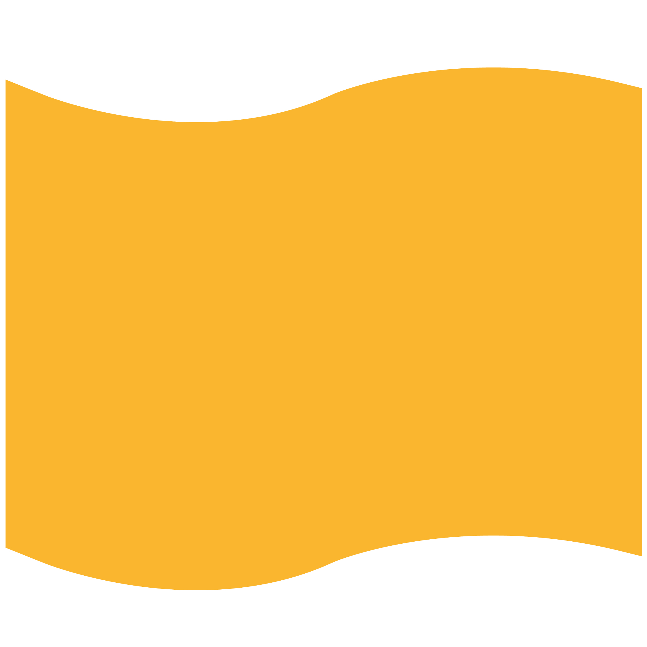 Foam Flag Mitt 50
