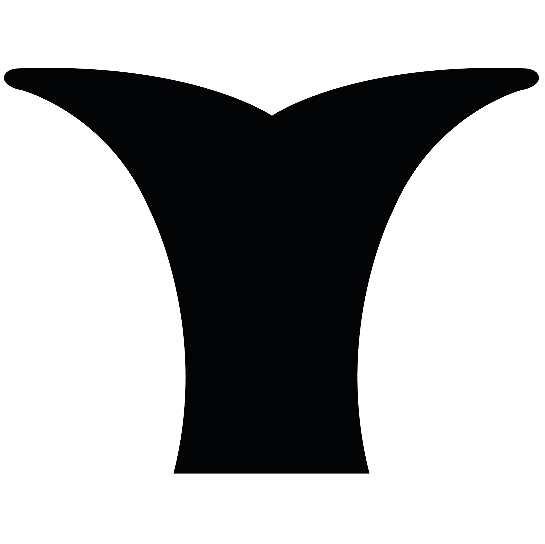 Whale Tail 54