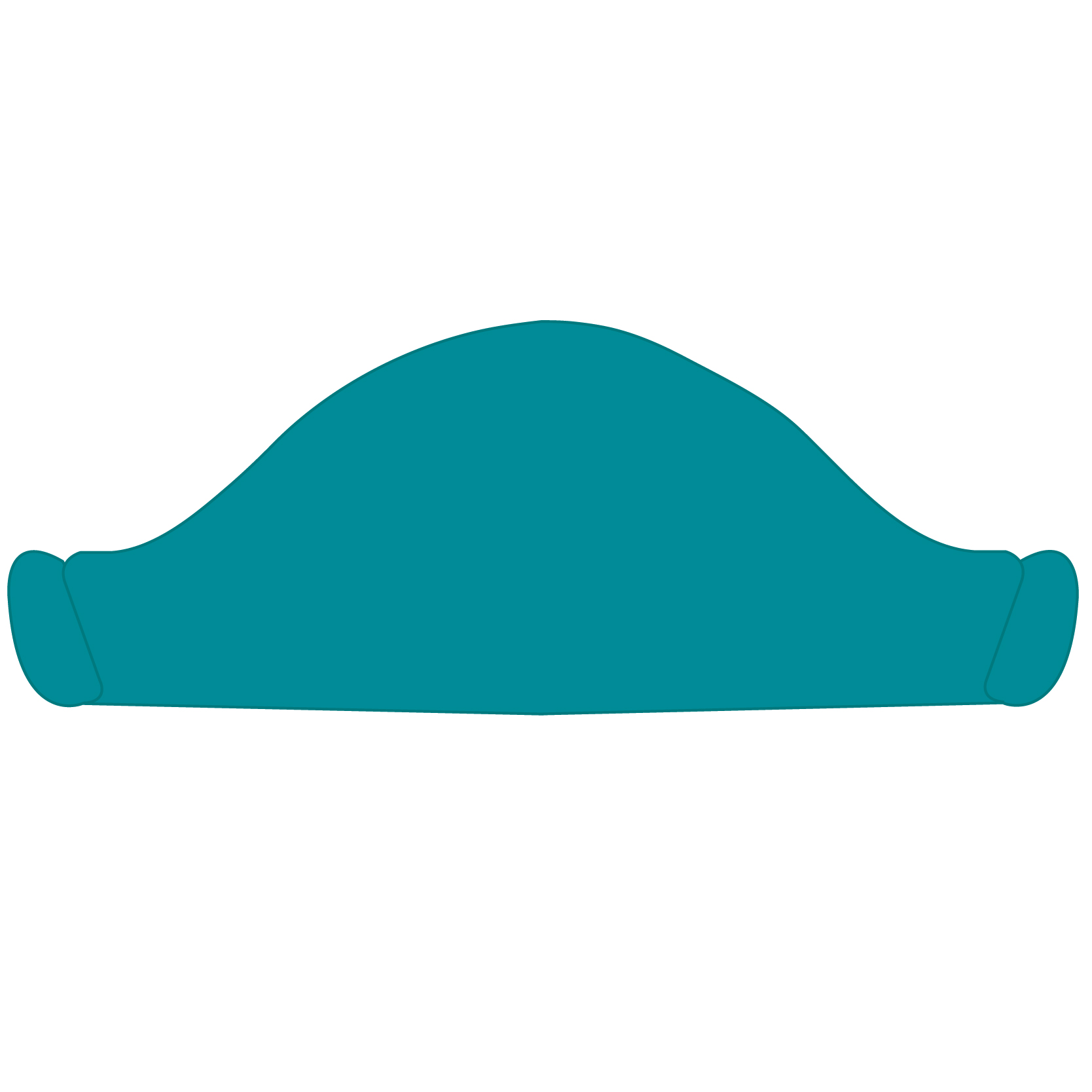Pirate Hat 55