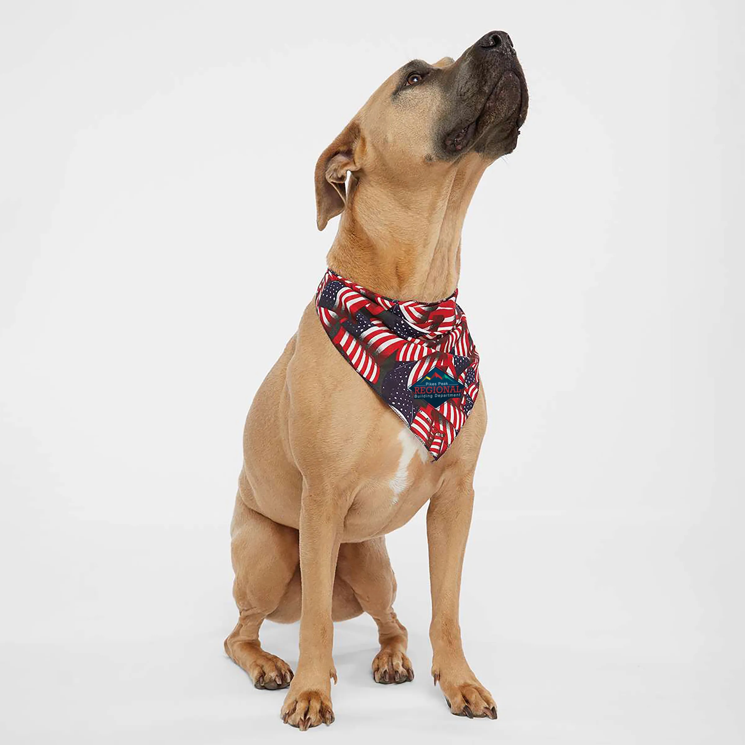 Doggie Skins(R) USA-Made Bandana 2