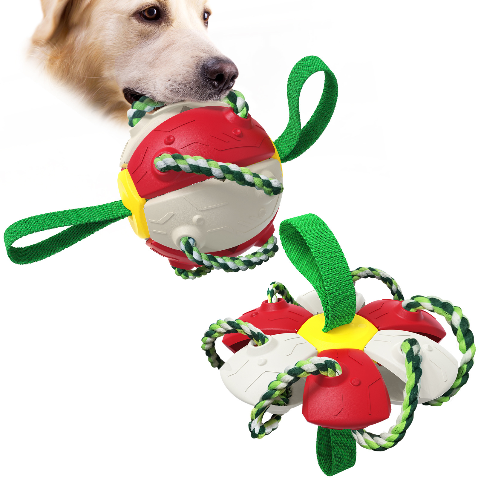 Dog Toy Foldable Flying Disc /Flyer