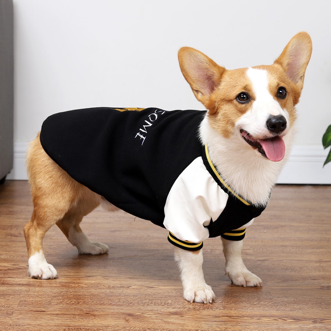 Pet Baseball Uniform