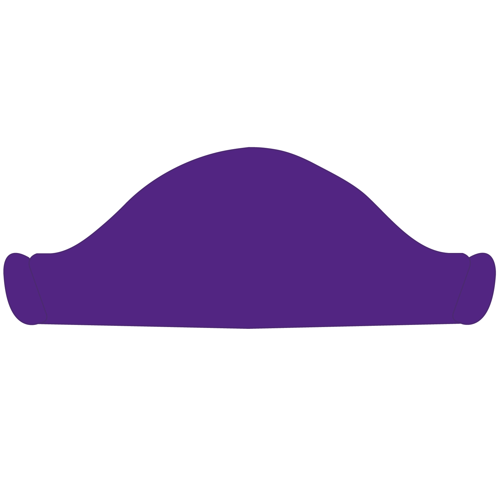 Pirate Hat 54