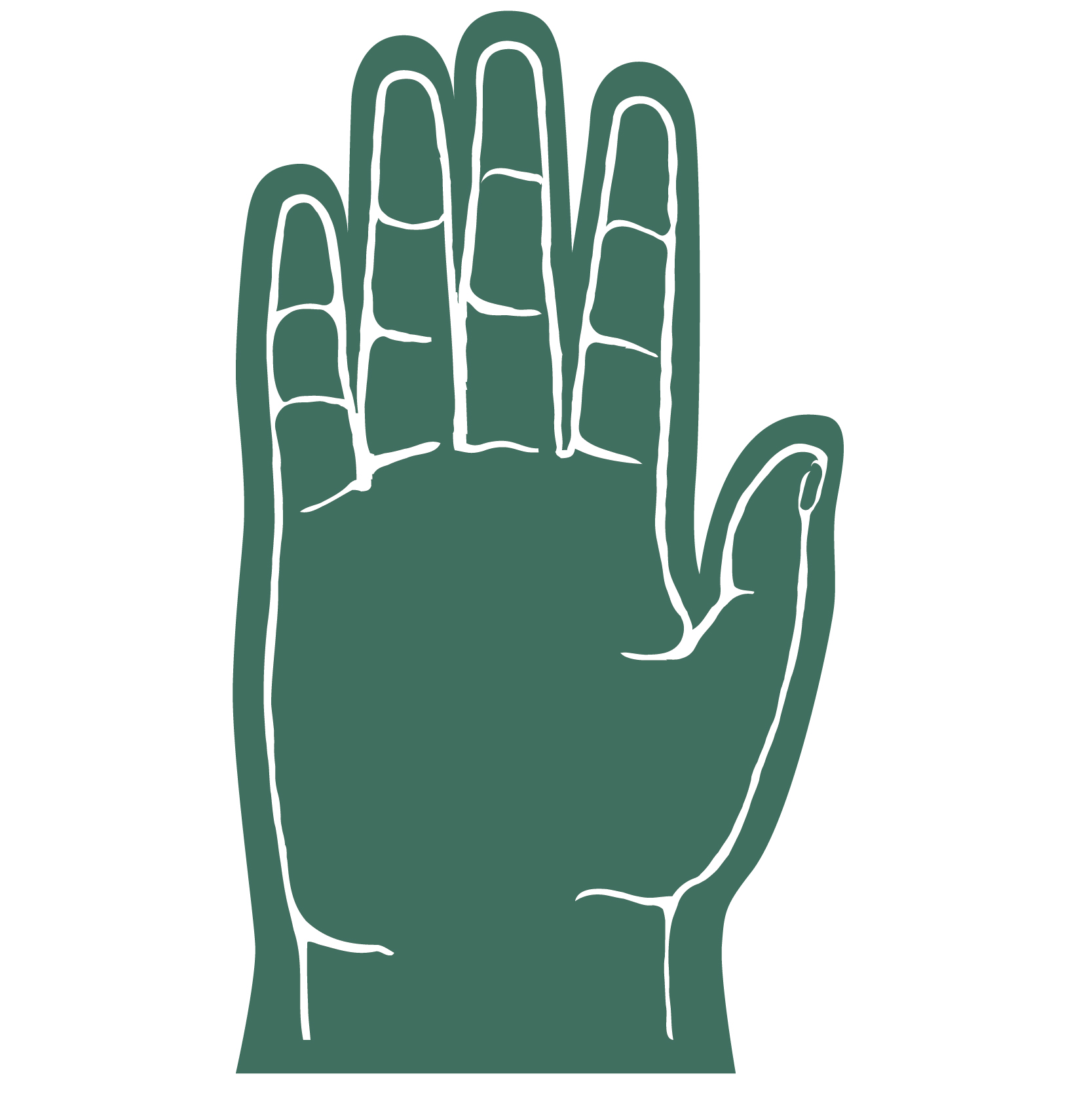 5 Finger Foam hand 43